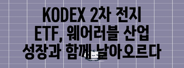 KODEX 2차 전지 ETF | 웨어러블 산업 성장 활용