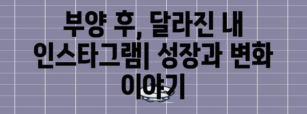 인스타그램 좋아요 부양 후기 | 스스로 시도한 사례