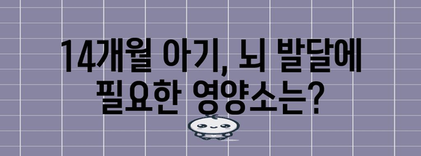 14개월 아기 필수 영양소 가이드 | 건강한 성장을 위한