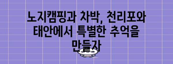 노지캠핑 및 차박 여행 가이드 | 천리포와 태안의 이색적인 즐거움