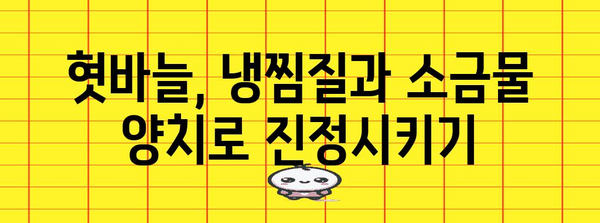 집에서 해결하는 혓바늘 통증 | 알보칠 없이 잡는 5가지 방법