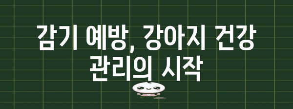 강아지 감기와 기침 예방 가이드 | 영양제로 면역력 강화