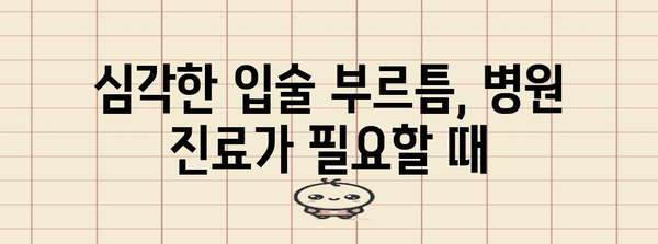 입술 부르틈 원인과 해결법 | 치유부터 예방까지의 완벽 가이드