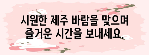 제주 여름 휴가 액티비티 추천 | 짜릿함과 힐링을 찾아서