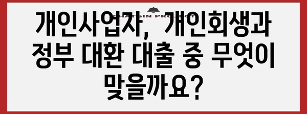 개인사업자 개인회생과 정부 대환 대출 비교