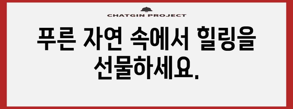 제주 여름 휴가 액티비티 추천 | 짜릿함과 힐링을 찾아서