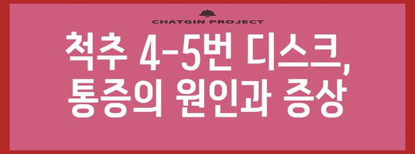 디스크 통증 관리 완전 안내서 | 척추 4-5번 디스크 대처법