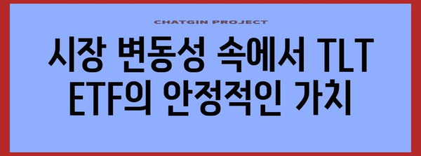낮은 수수료 TLT ETF | 투자자를 위한 매력과 전략