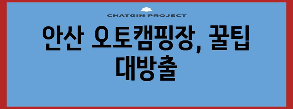 안산 오토캠핑장 가격, 편의시설 모두 꼼꼼히 정리