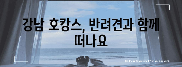 애견과 함께하는 서울 호캉스 | 강남 애견 동반 카페 5선