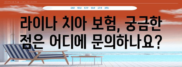 고객 지원 요약 | 라이나 치아 보험 | 종합적인 고객 리뷰, 문의 및 혜택 가이드