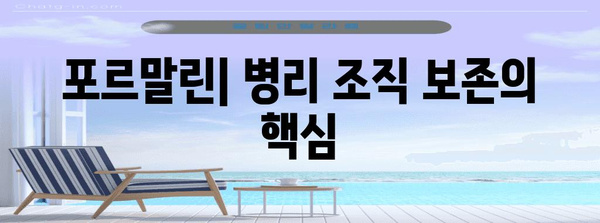 병리 조직 효과적 보존 | 포르말린 사용 가이드