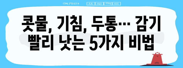 감기, 몸살 빠른 완화법 | 효과적인 5가지 방법