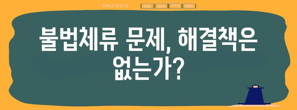 불법체류자의 법적 처벌과 권리 보호