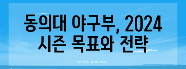 동의대 야구부 2024 시즌 | 승리로의 도전