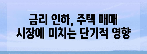 국내 부동산 시장 변화 예측 | ECB 금리 인하 영향 분석