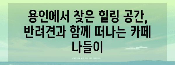 용인 애견 동반 카페 | 반려견과의 로맨틱 데이트