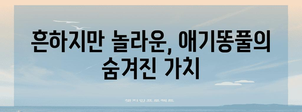 애기똥풀의 surprenant 약효 밝히기