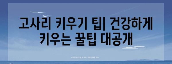 베란다 정원에서 고사리를 키워라 | 완벽한 가이드