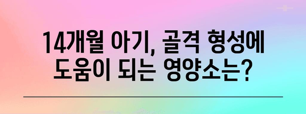 14개월 아기 필수 영양소 가이드 | 건강한 성장을 위한