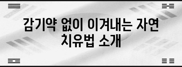 감기약의 다양한 효능 | 알아두면 유용한 정보