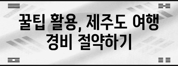 제주도 항공권 저렴하게 얻는 꿀팁 7가지