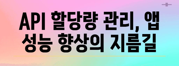API 할당량 초과 대처 가이드 | 원활한 앱 운영 유지