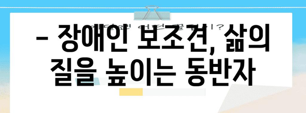 안내견과 함께하는 안전한 세상 | 장애인 보조견의 역할과 훈련