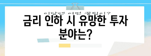 금리 인하 속 증시 대응 전략 | 투자 재정립 가이드