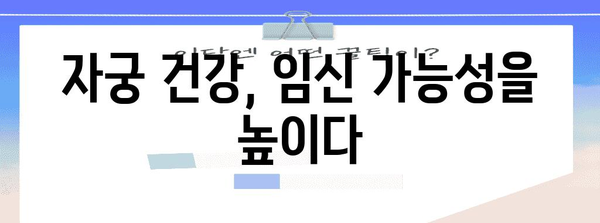 임신 가능성 향상을 위한 한의학 팁 | 착상률 비결