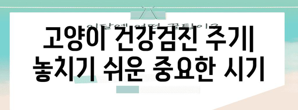 고양이 건강검진 가이드 | 나이별 체크리스트와 팁