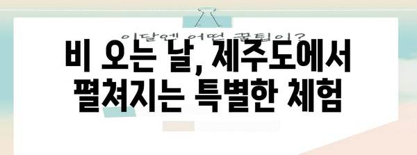 비오는 날 제주도 즐기기 | 10가지 실내 활동 추천