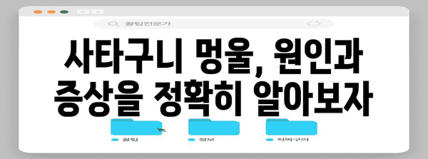 사타구니 멍울 완전 가이드 | 원인별 대처법과 치료 옵션