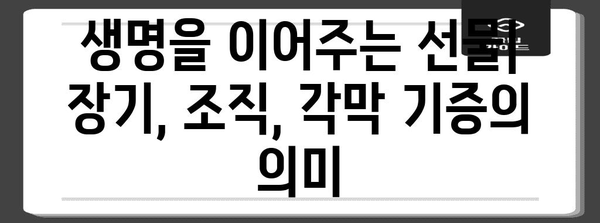 장기, 조직, 각막 기증 | 차이점과 신청 방법 정리