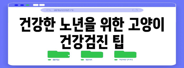 고양이 건강검진 가이드 | 나이별 체크리스트와 팁