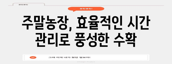 주말농장 관리 가이드 | 시간 관리와 생존을 위한 안내서