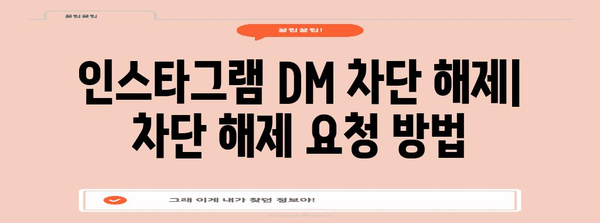 인스타그램 DM 차단 해제 | 문제 해결 및 대응 방법