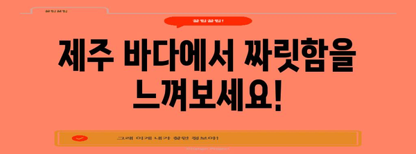 제주 여름 휴가 액티비티 추천 | 짜릿함과 힐링을 찾아서