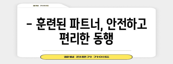 안내견과 함께하는 안전한 세상 | 장애인 보조견의 역할과 훈련