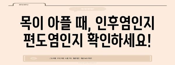 인후염 vs 편도염 | 증상, 원인, 효과적 치료법