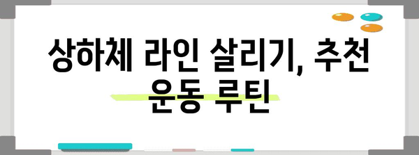 단기 상하체 다이어트 | 보조제, 추천 단기 다이어트 방법