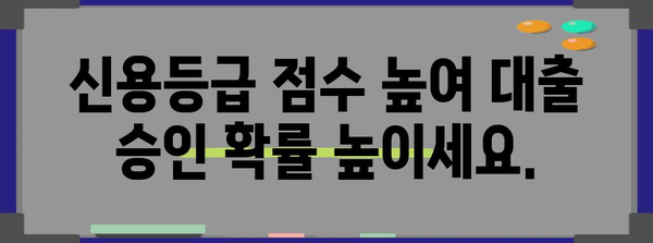 신용등급 점수 향상 가이드 | 완벽한 분석, 팁, 대출 승인 높이기