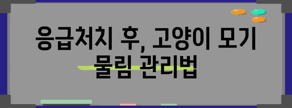 고양이 모기 물림 대처법 | 효과적인 응급처치