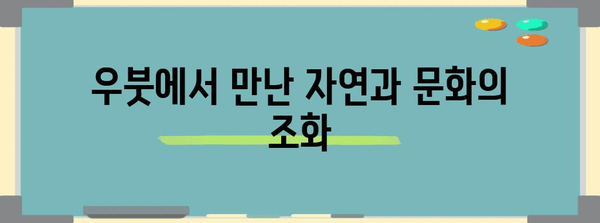 우붓 한 달살기 체험기 | 인도네시아의 천국에서