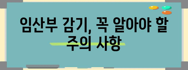 임산부 감기 완화법 | 타이레놀 후기와 안전 복용 안내