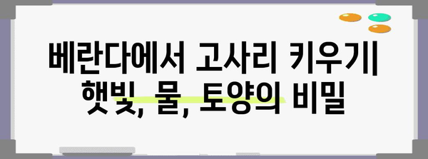 베란다 정원에서 고사리를 키워라 | 완벽한 가이드