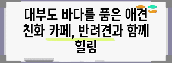 애견 친화 카페 | 대부도에서 즐기는 바다를 바라보며