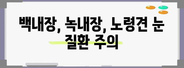 나이 든 강아지 눈 건강 지키는 필수 관리법