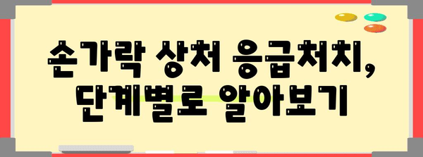 손가락 상처 완벽 가이드 | 응급처치부터 병원 방문까지