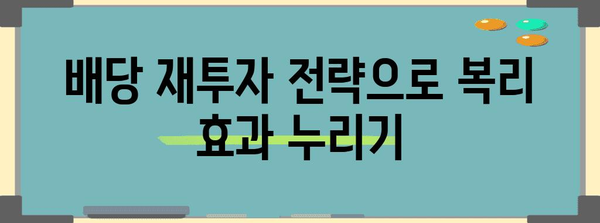 미국 주식 배당률 높이는 포트폴리오 전략